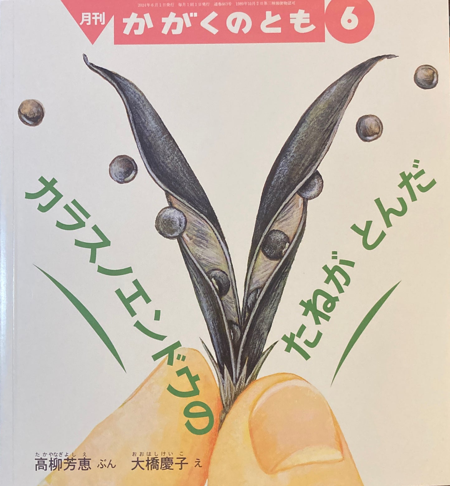 カラスノエンドウのたねがとんだ　かがくのとも663号