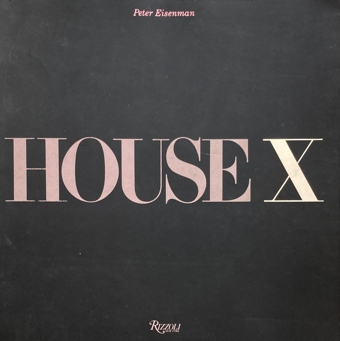 HOUSE X  Peter Eisenman