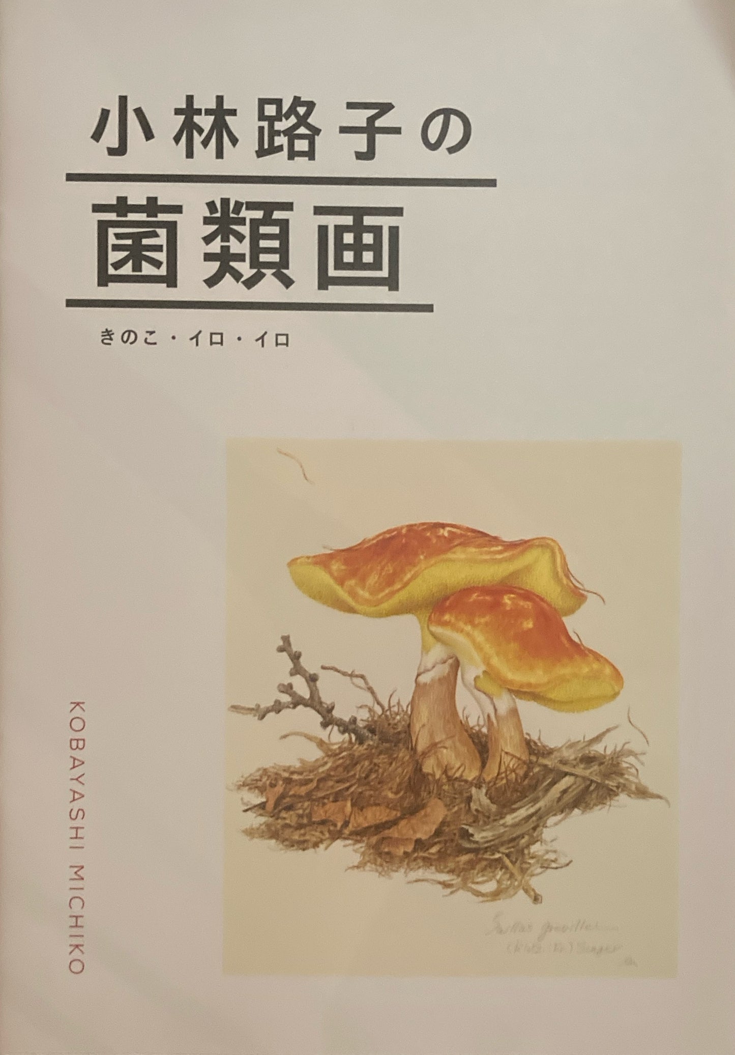 小林路子の菌類画　きのこ・イロ・イロ　
