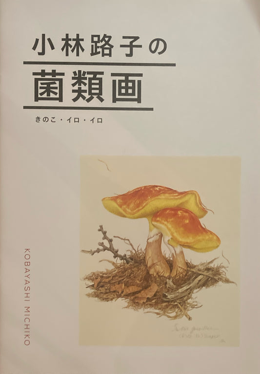 小林路子の菌類画　きのこ・イロ・イロ　