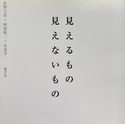 見えるもの見えないもの　佐野吉彦　阿部絋三　安東孝一