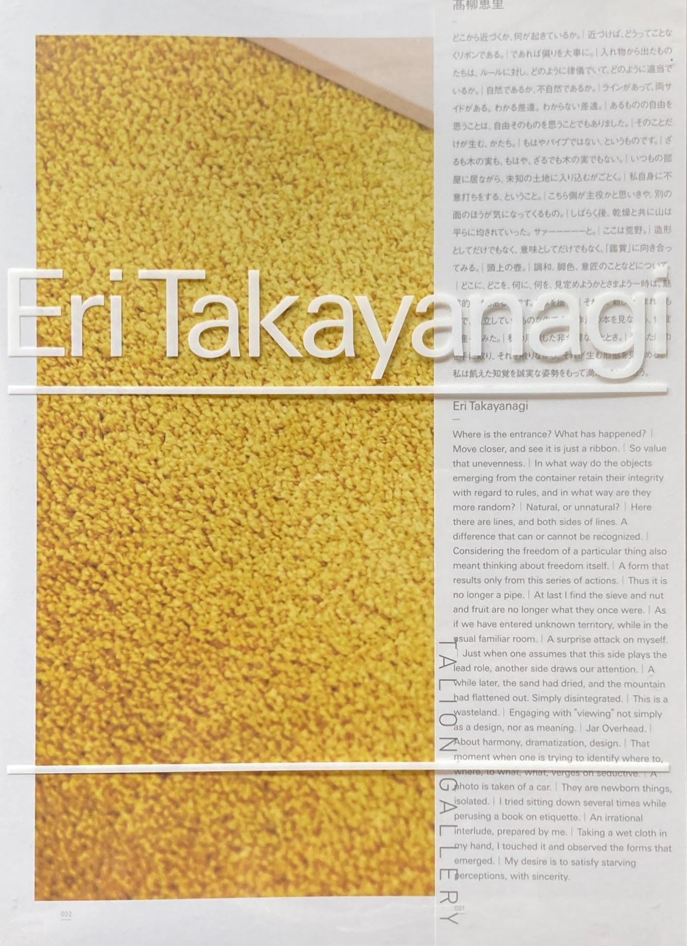 高柳恵里　Eri Takayanagi TALION GALLERY