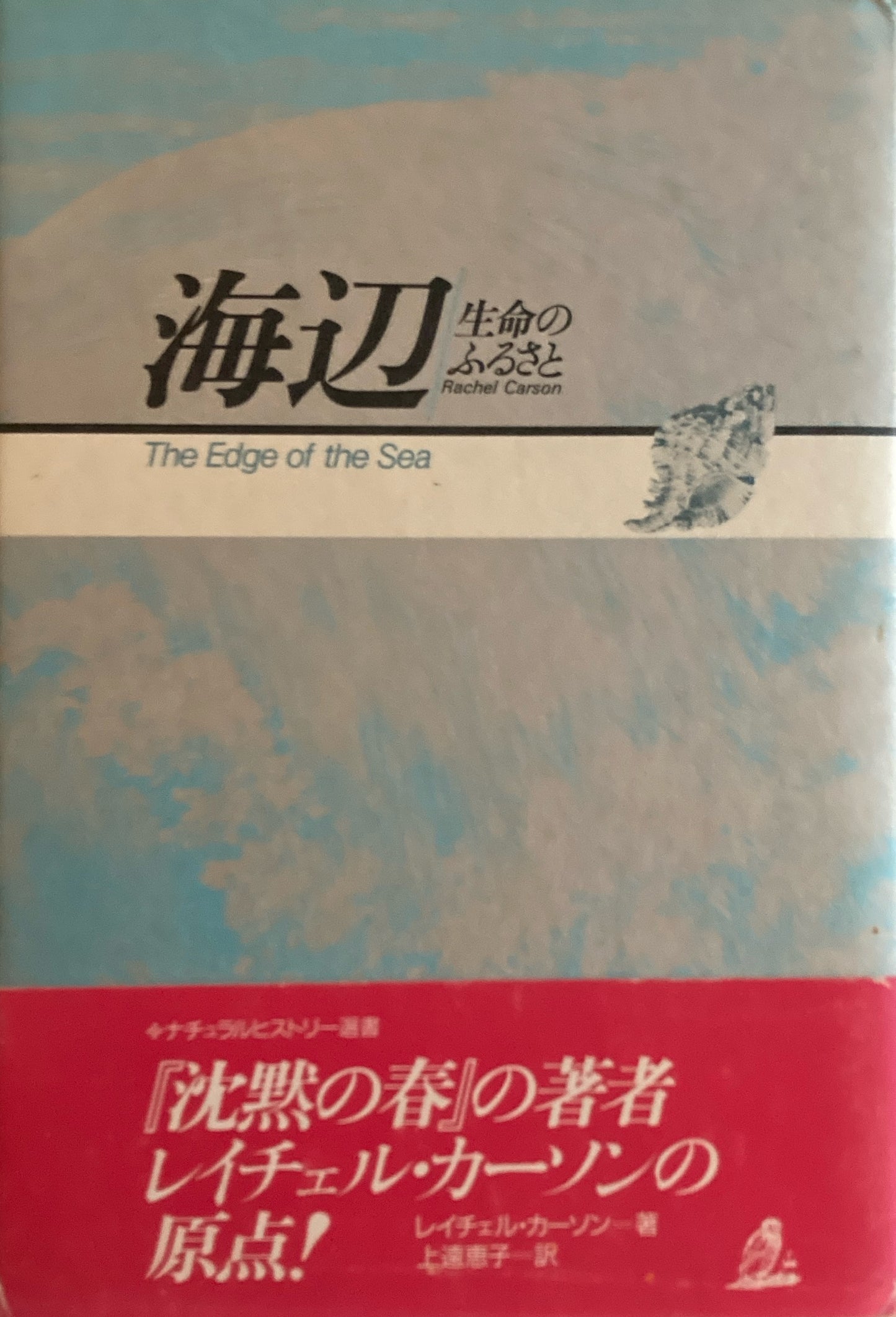海辺　生命のふるさと　レイチェル・カーソン　