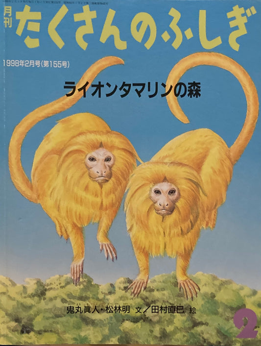 ライオンタマリンの森　たくさんのふしぎ155号　1998年2月号