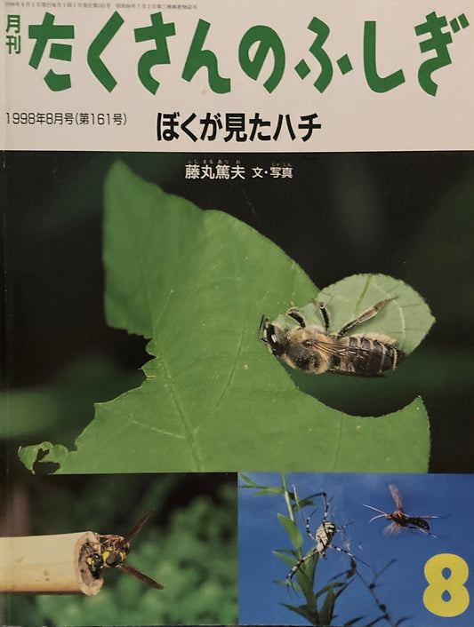 ぼくが見たハチ　たくさんのふしぎ161号　1998年8月号