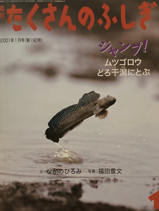 ジャンプ！　ムツゴロウどろ干潟にとぶ　たくさんのふしぎ190号　2001年1月号