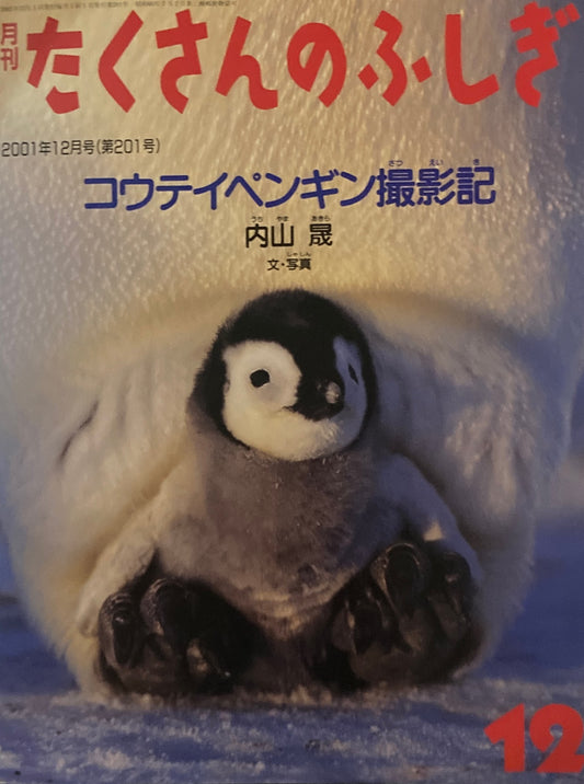 コウテイペンギン撮影記　たくさんのふしぎ201号　2001年12月号