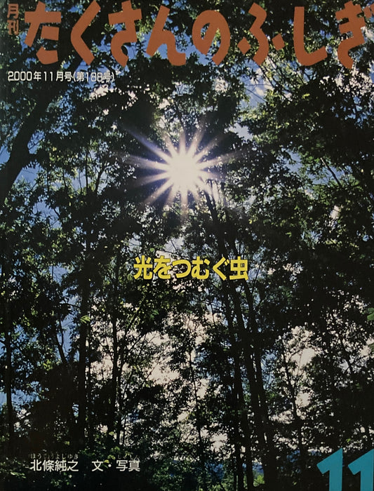 光をつむぐ虫　たくさんのふしぎ188号　2000年11月号