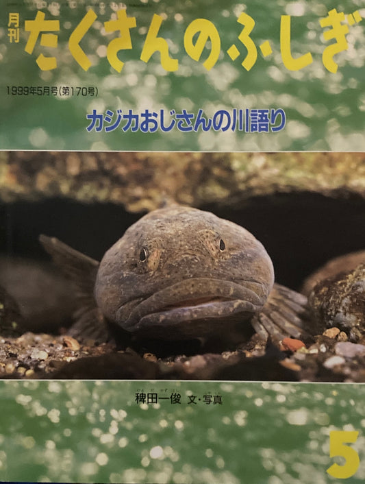 カジカおじさんの川語り　たくさんのふしぎ170号　1999年5月号