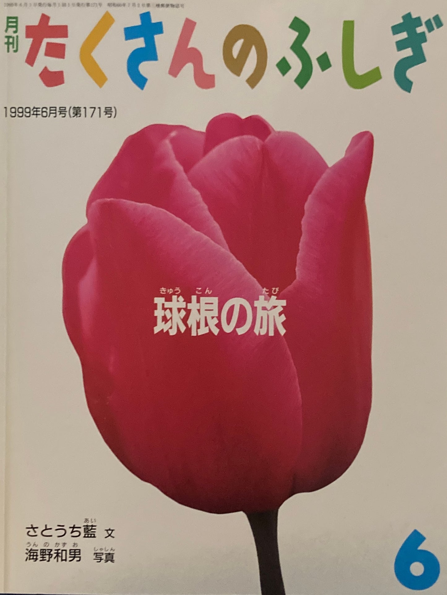 球根の旅　たくさんのふしぎ171号　1999年6月号