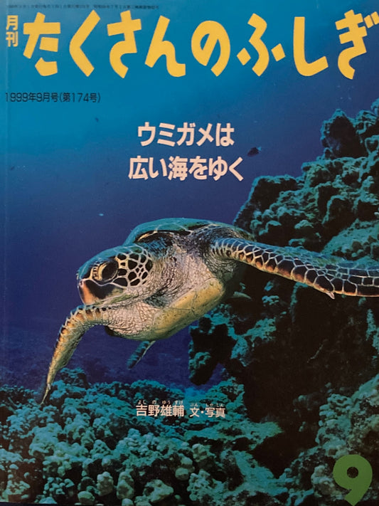 ウミガメは広い海をゆく　たくさんのふしぎ174号　1999年9月号
