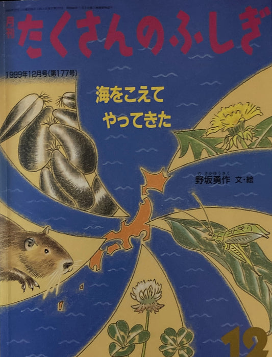 海をこえてやってきた　たくさんのふしぎ177号 　1999年 12月号　
