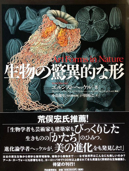 生物の驚異的な形　エルンスト・ヘッケル　
