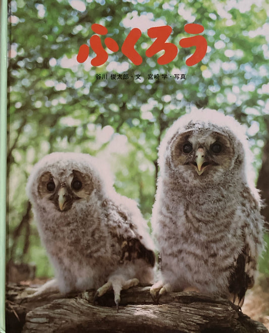 ふくろう　宮崎学　谷川俊太郎