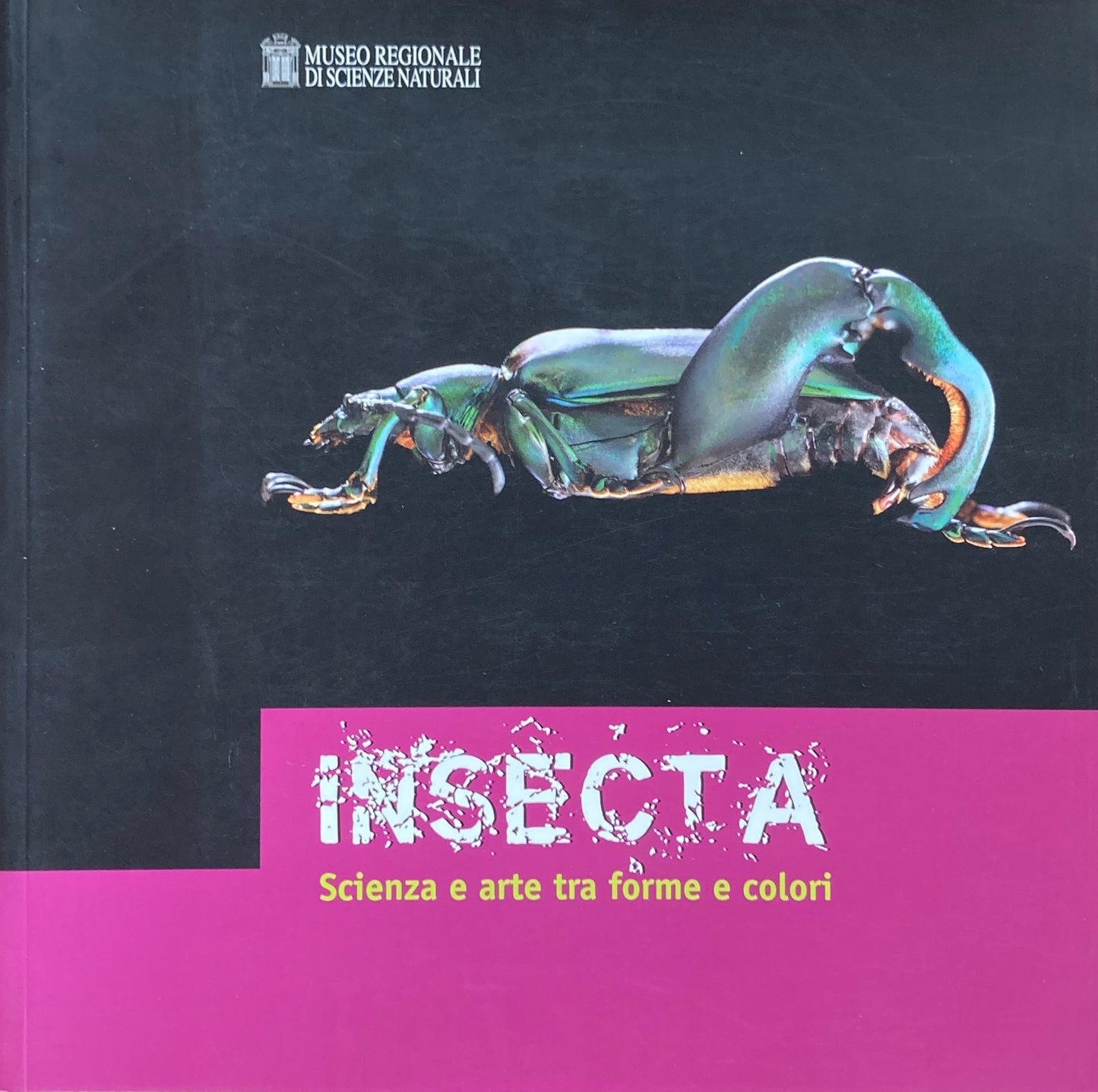 INSECTA Scienza e arte tra forme e colori