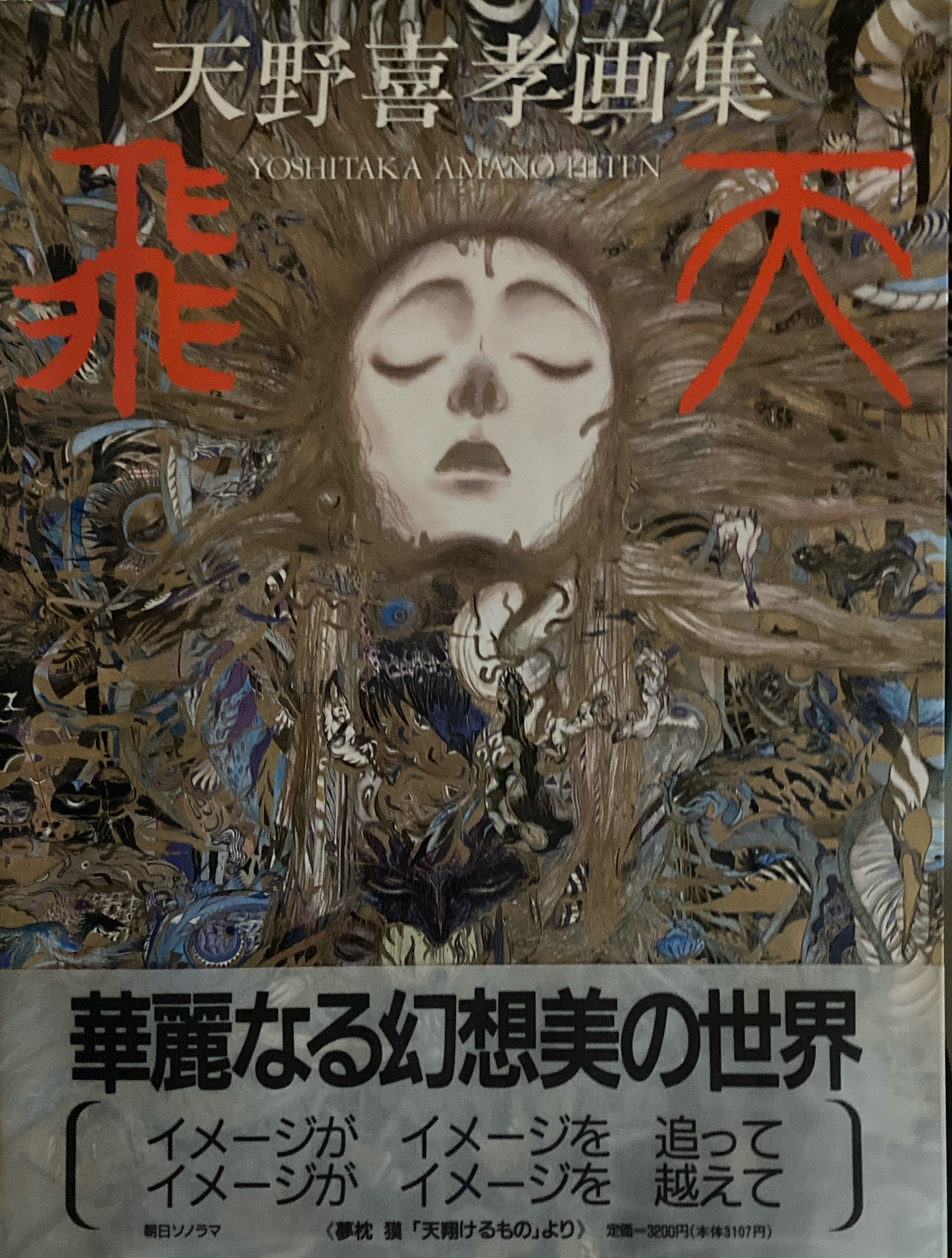 天野喜孝画集　飛天　初版 A1KlfdmC38L._UF350,350_QL50_.jpg