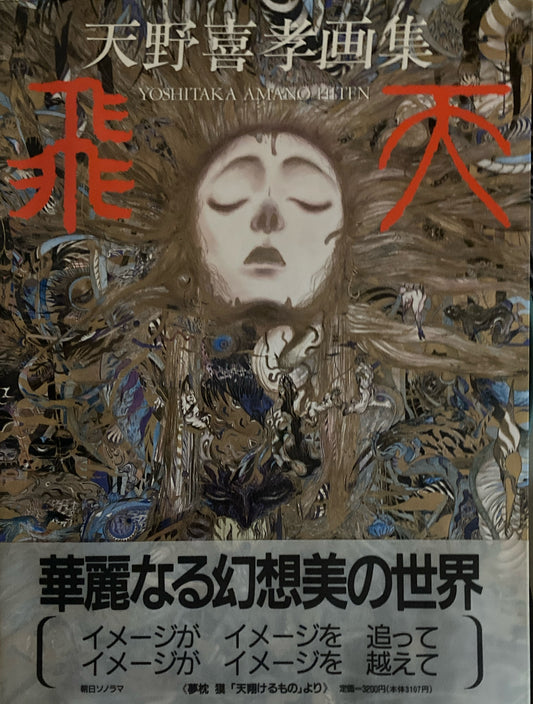 飛天　天野喜孝画集