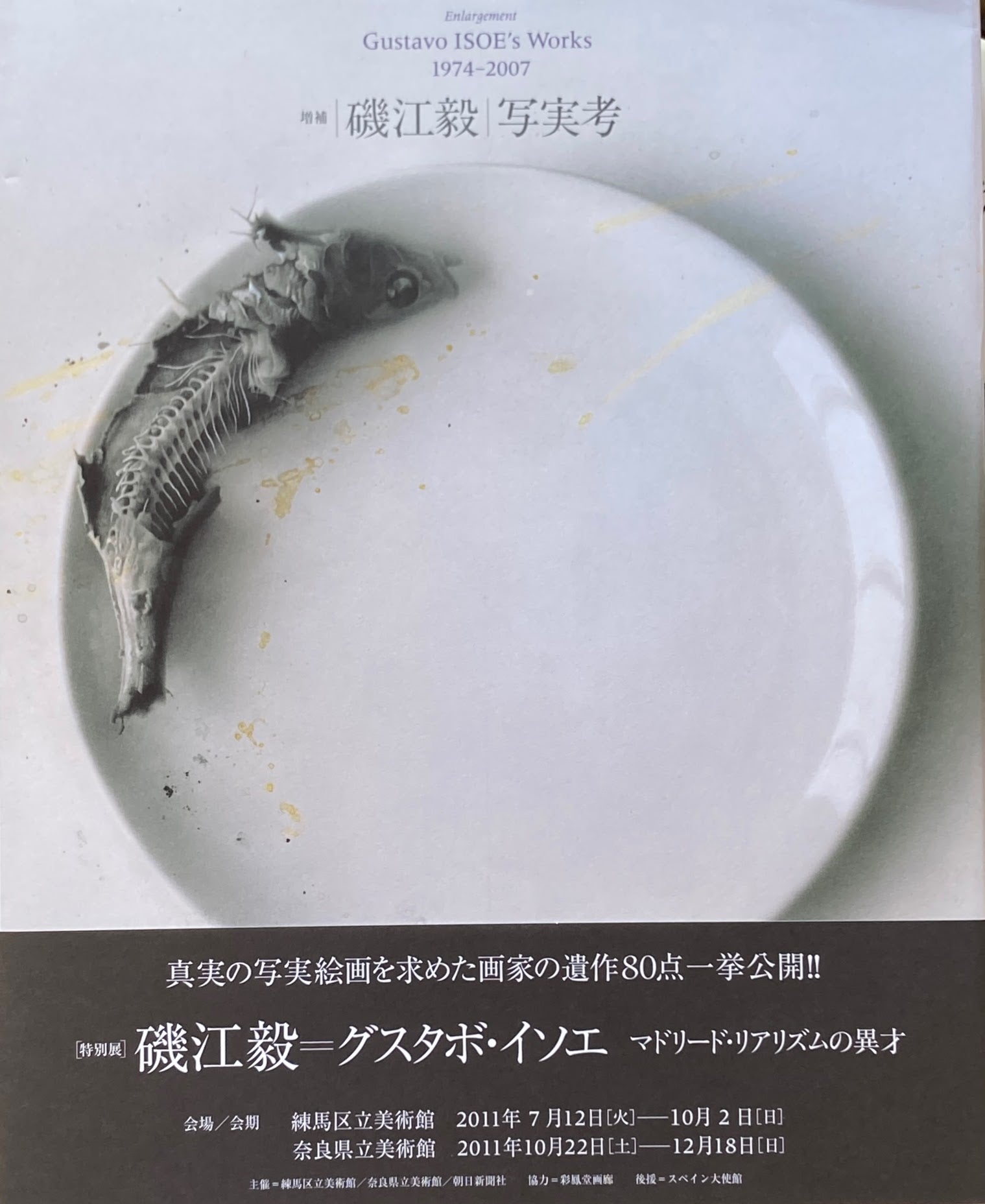 Gustavo ISOE's Works 1974-2007　磯江毅　写実考