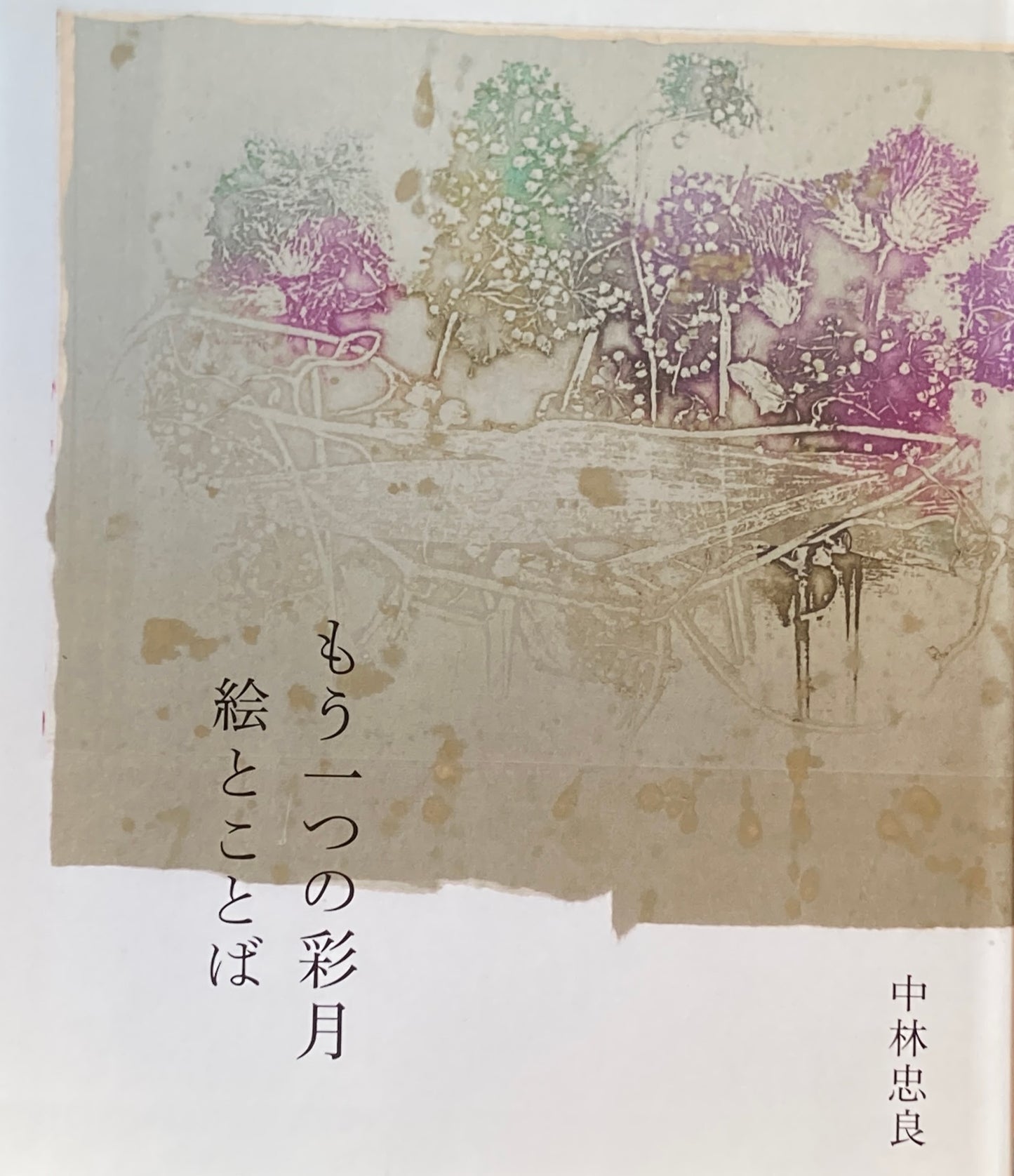 もう一つの彩月　絵とことば　中林忠良