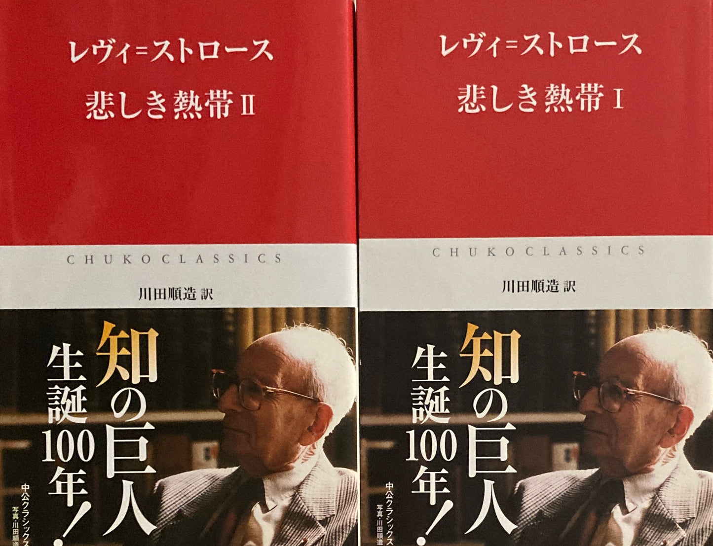 悲しき熱帯　Ⅰ・Ⅱ　2冊セット　レヴィ＝ストロース