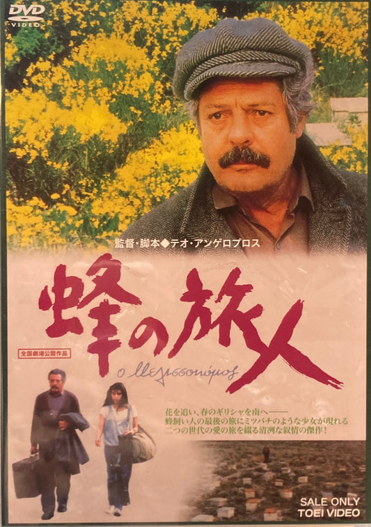 蜂の旅人　テオ・アンゲロプロス　DVD 　