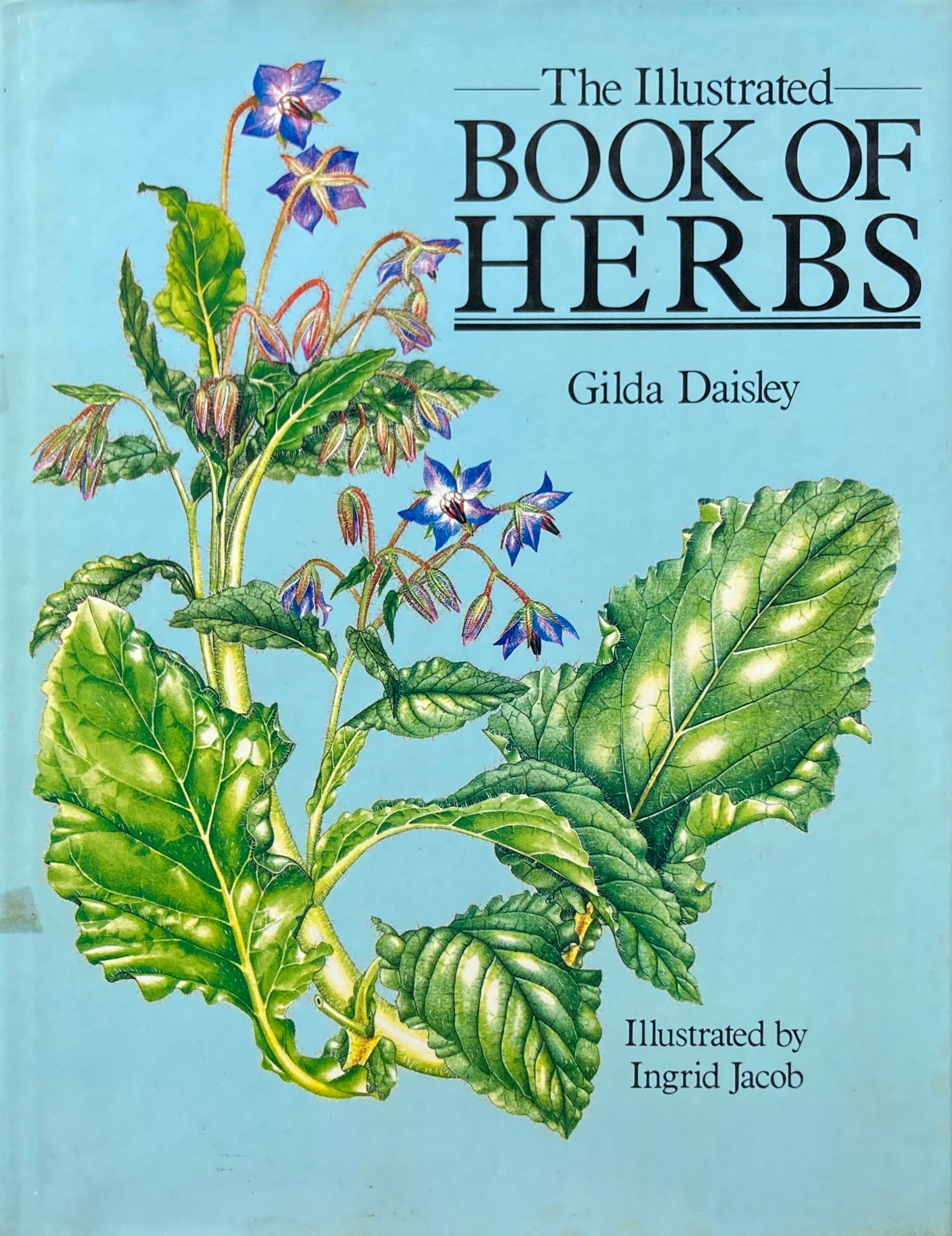 The Illustrated Book of Herbs　Ingrid jacob