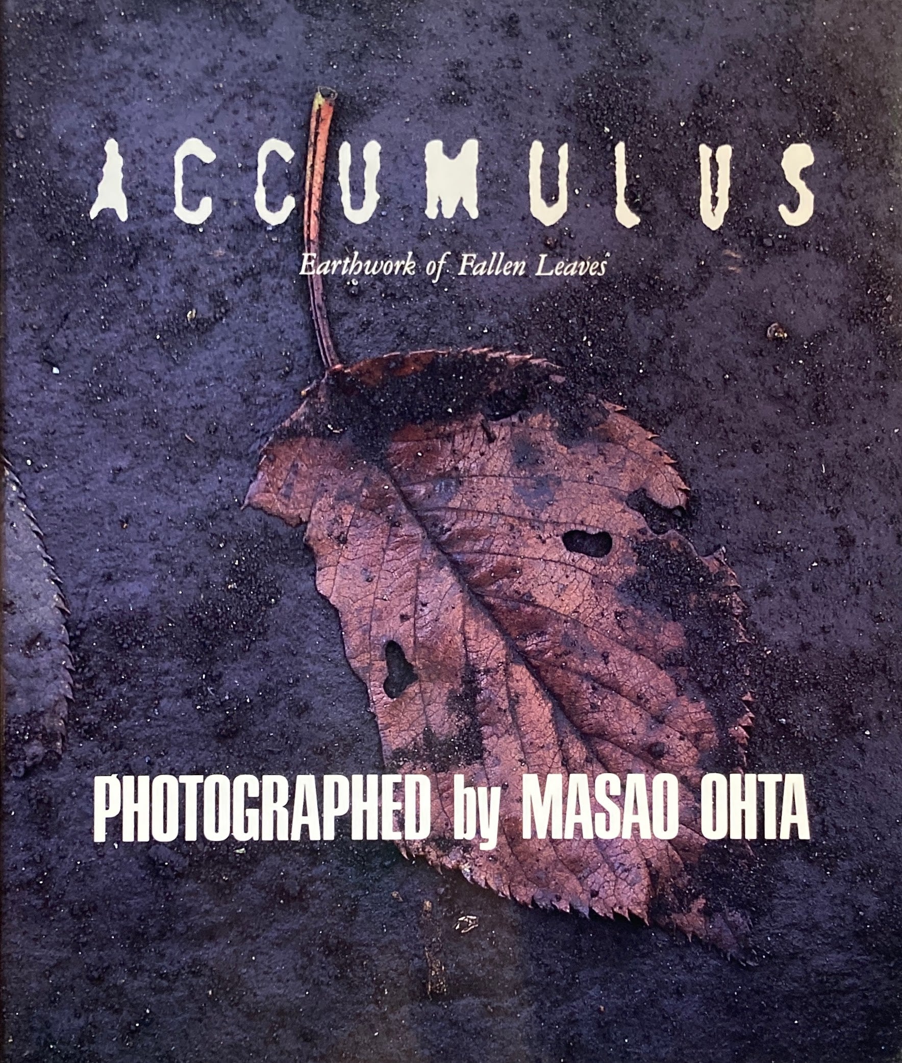 落葉　写真集　ACCUMULUS　by　MASAO OHTA　オオタマサオ ACCUMULUS オオタ・マサオ写真集 – smokebooks shop