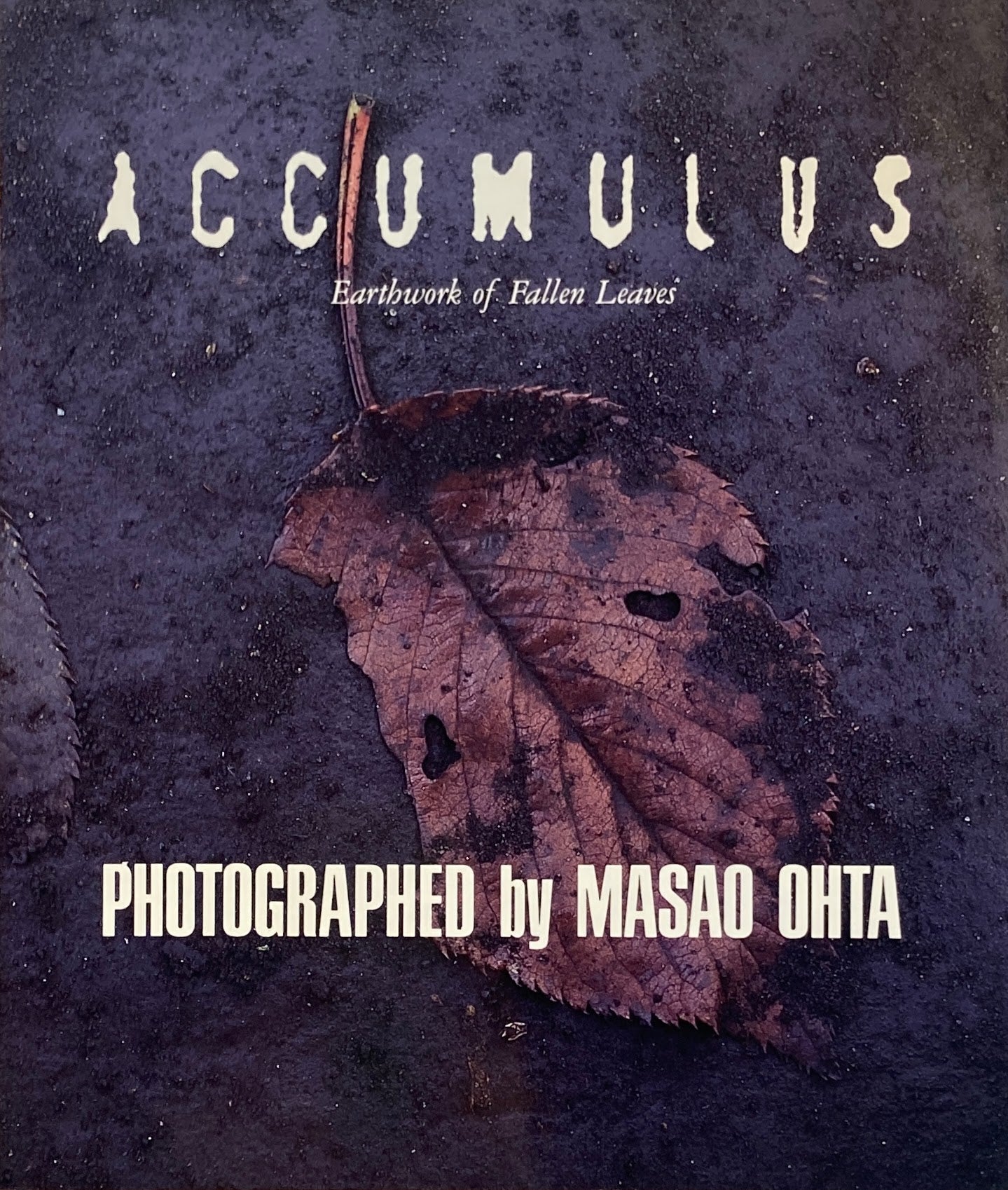 ACCUMULUS　オオタ・マサオ写真集　