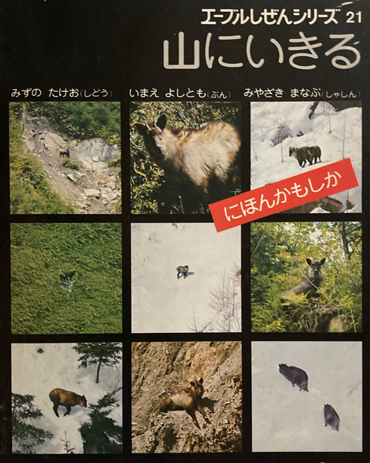 山にいきる　にほんかもしか　エーブルしぜんシリーズ　みやざきまなぶ