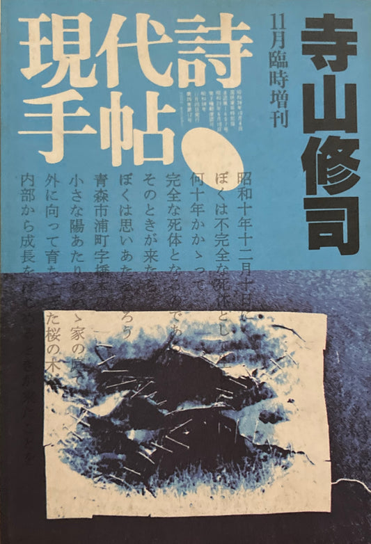 現代詩手帖　1983年11月臨時増刊　寺山修司　
