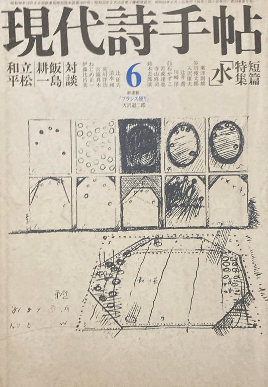 現代詩手帖　1981年6月号　短篇特集「水」