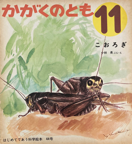 こおろぎ　小林勇　かがくのとも44号