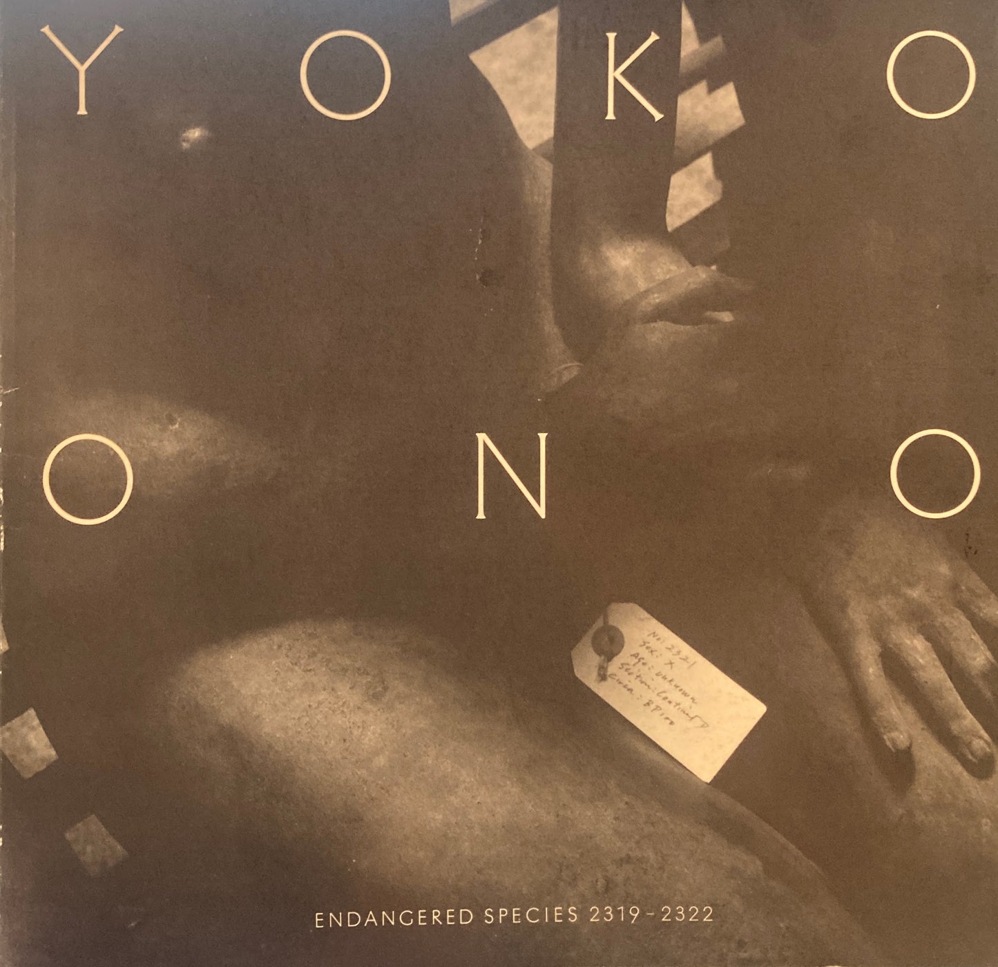 オノ・ヨーコ展　絶滅に向かった種族　2319-2322　YOKO ONO