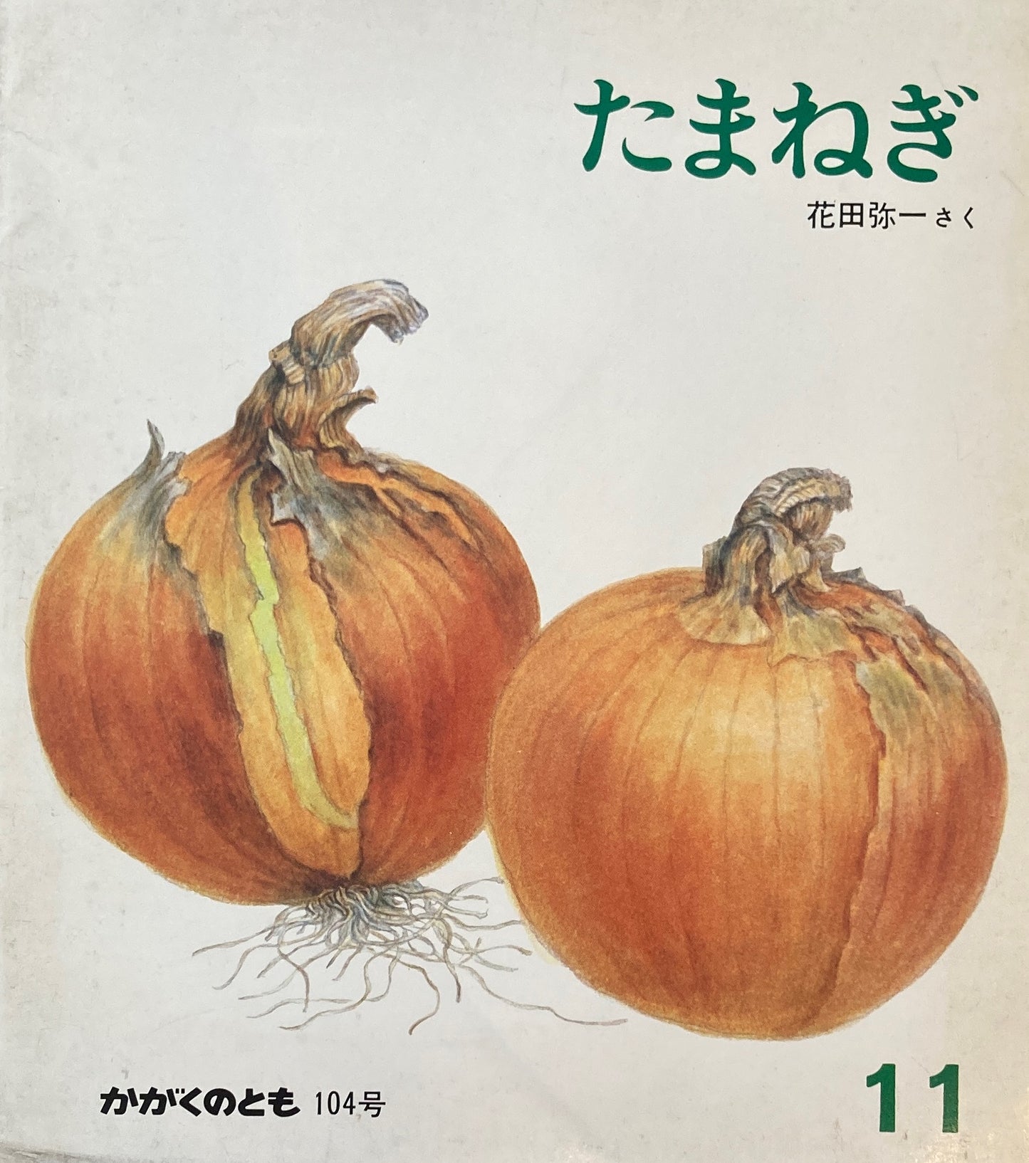 たまねぎ　花田弥一　かがくのとも104号