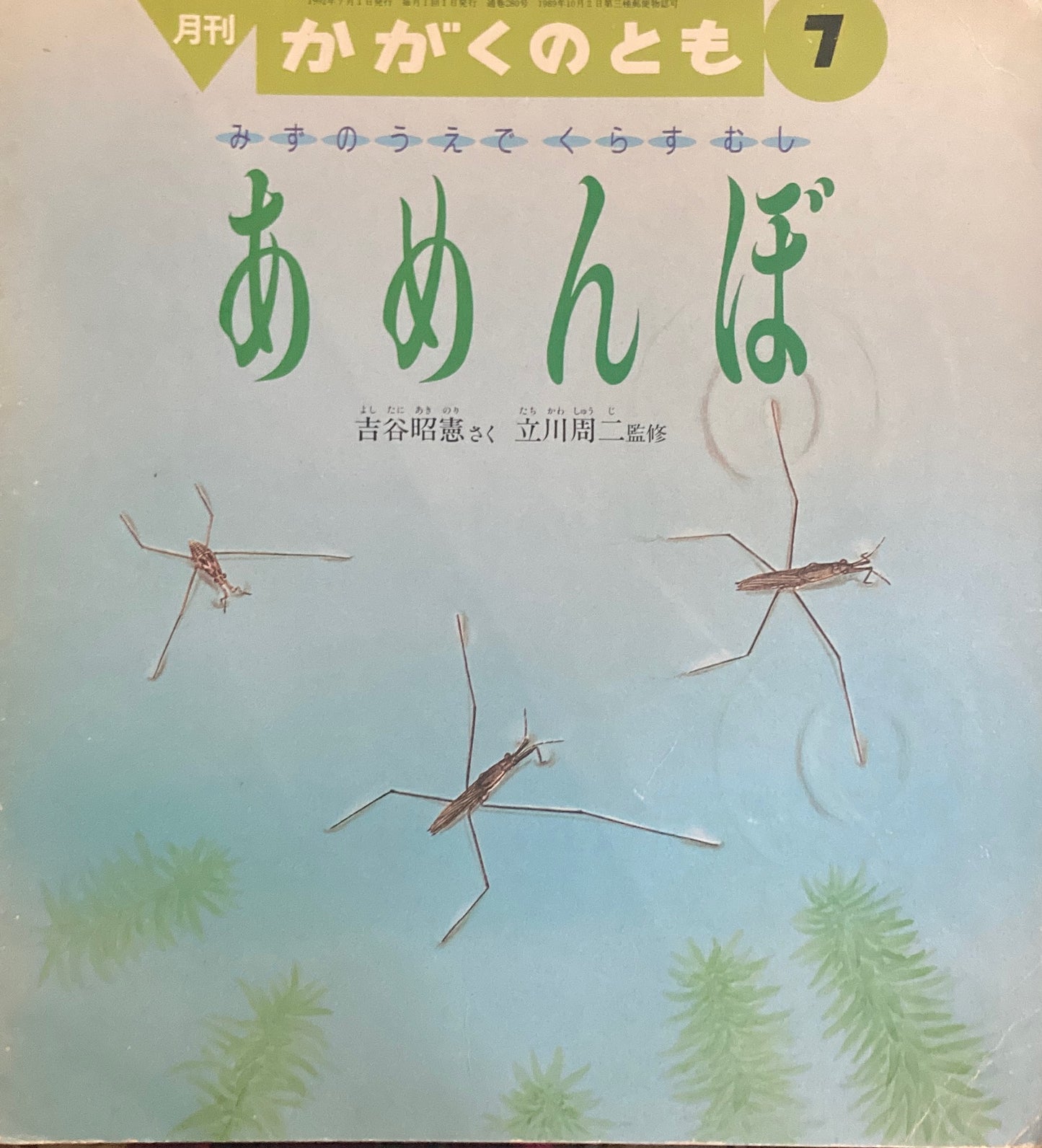 みずのうえでくらすむし　あめんぼ　かがくのとも280号