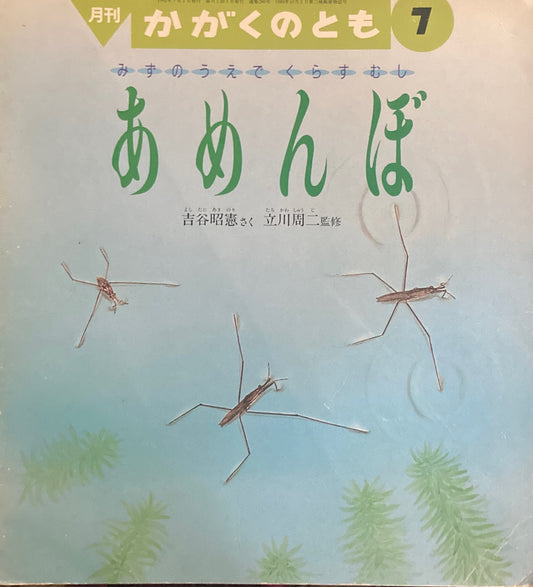 みずのうえでくらすむし　あめんぼ　かがくのとも280号