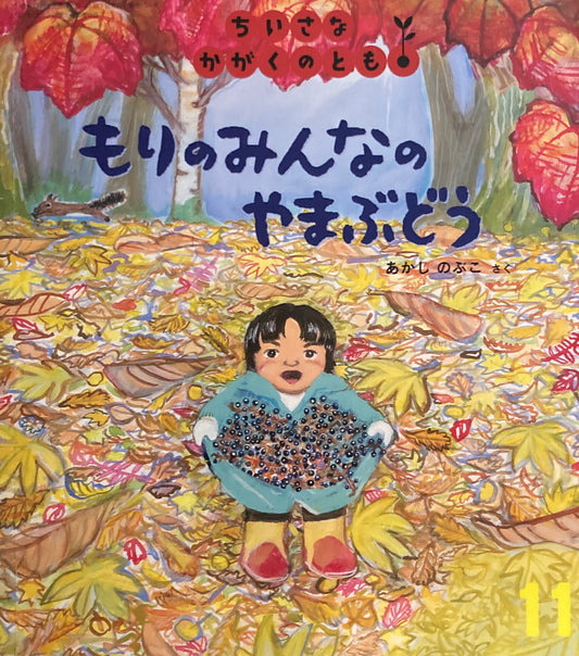 もりのみんなのやまぶどう　あかしのぶこ　ちいさなかがくのとも104号