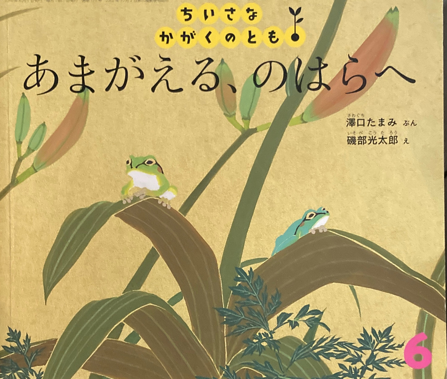 あまがえる、のはらへ　磯部光太郎　ちいさなかがくのとも171号