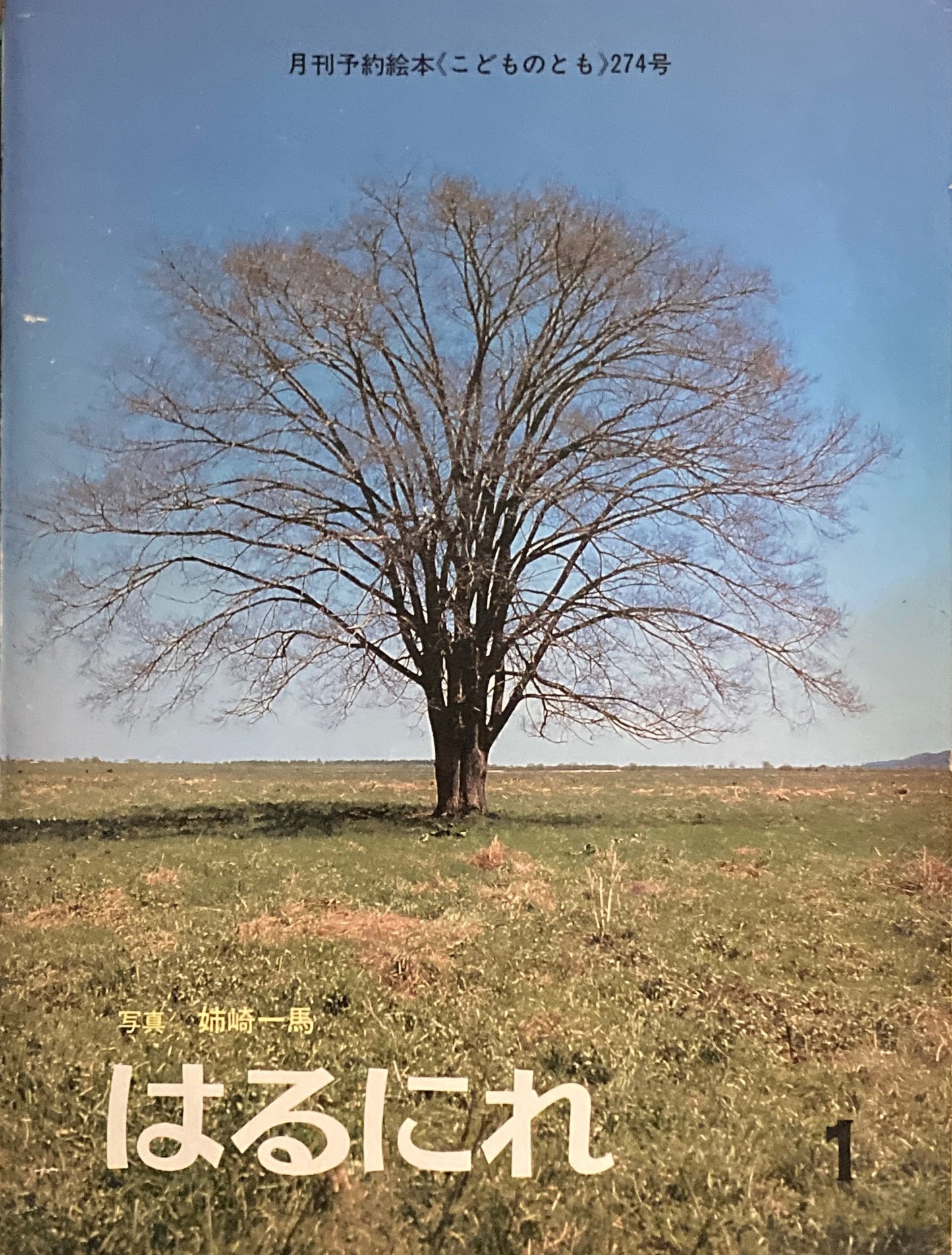 はるにれ　こどものとも274号　1979年1月号　