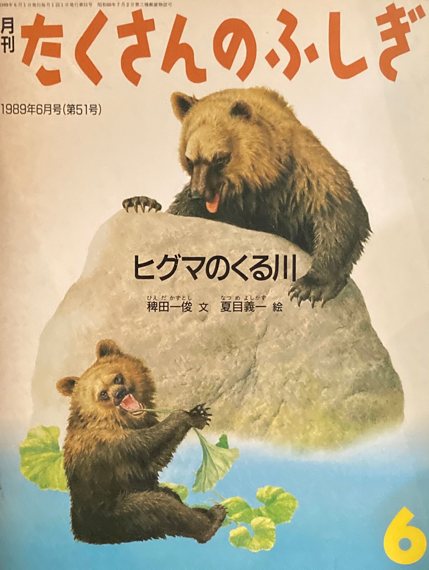 ヒグマのくる川　たくさんのふしぎ51号 　1989年6月号