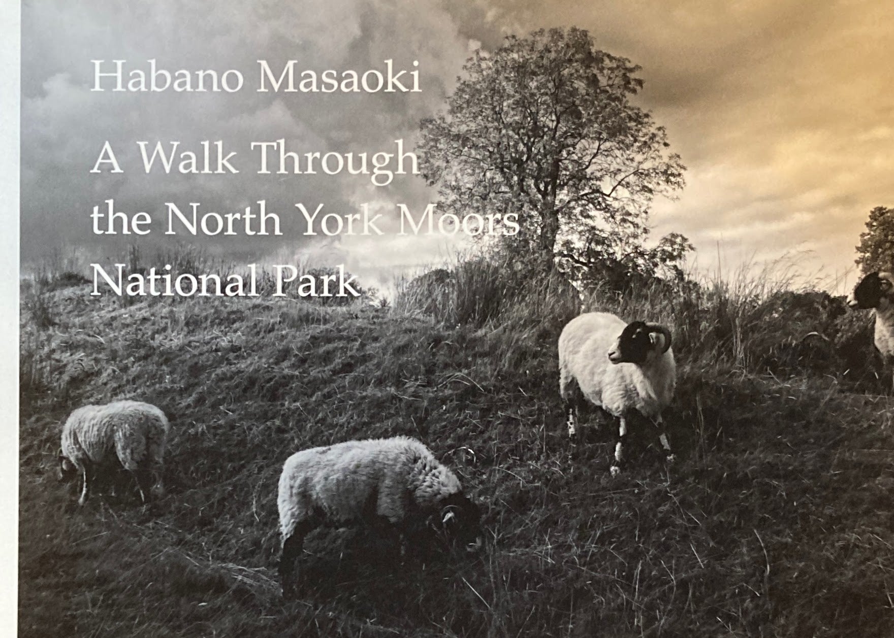 ノースヨークムーアズ・ナショナルパークを歩いて　幅野昌興 写真集