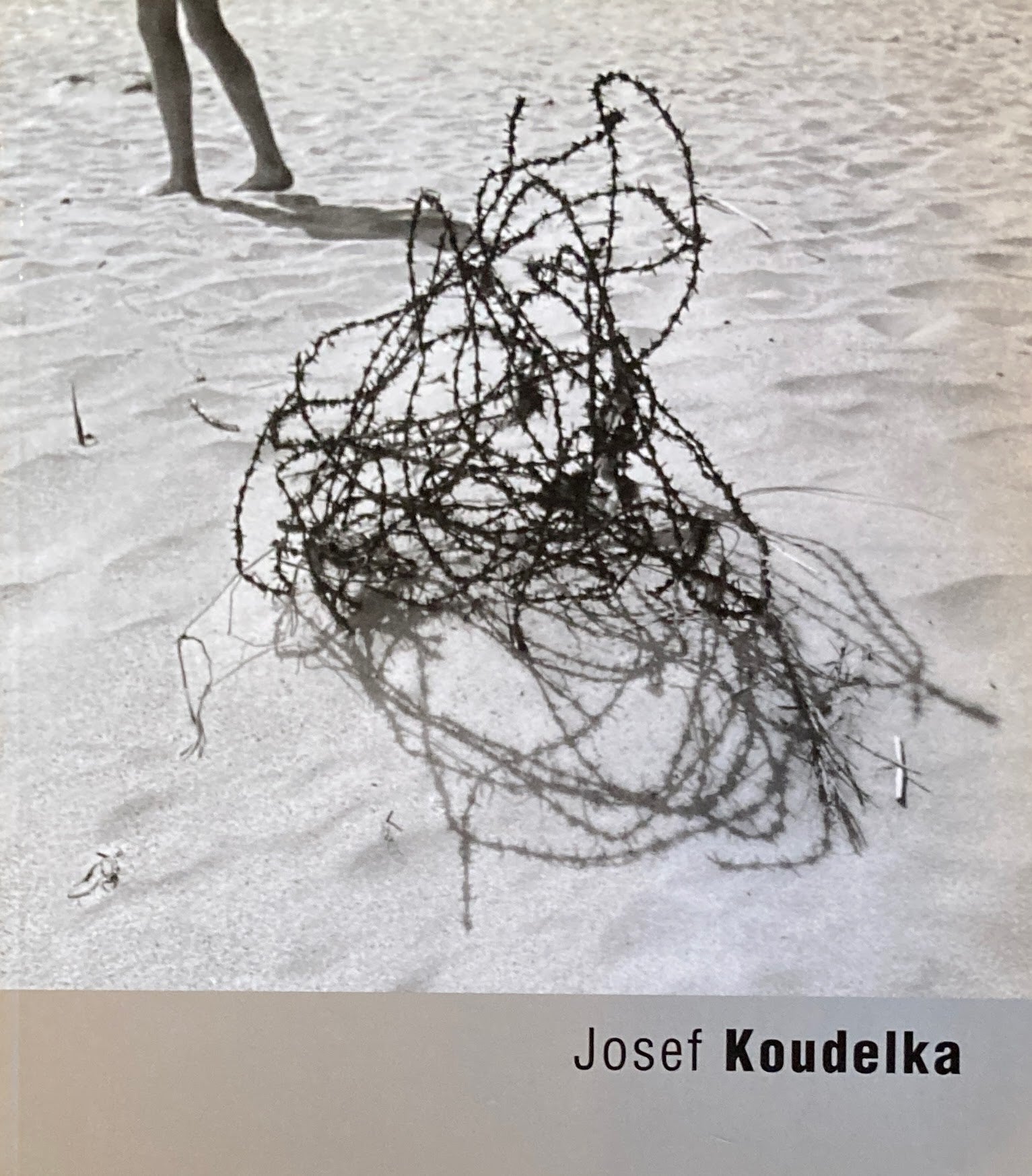 Josef Koudelka　FOTOTORST