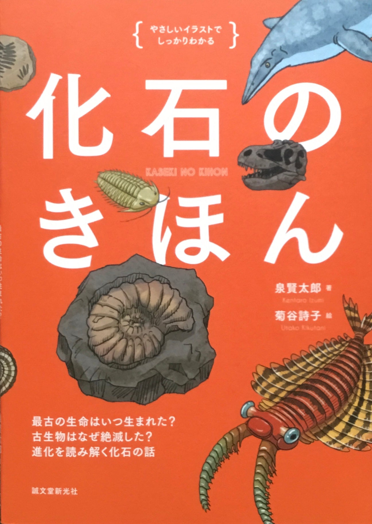 化石のきほん　泉 賢太郎　菊谷 詩子　イラストでわかるきほんシリーズ　