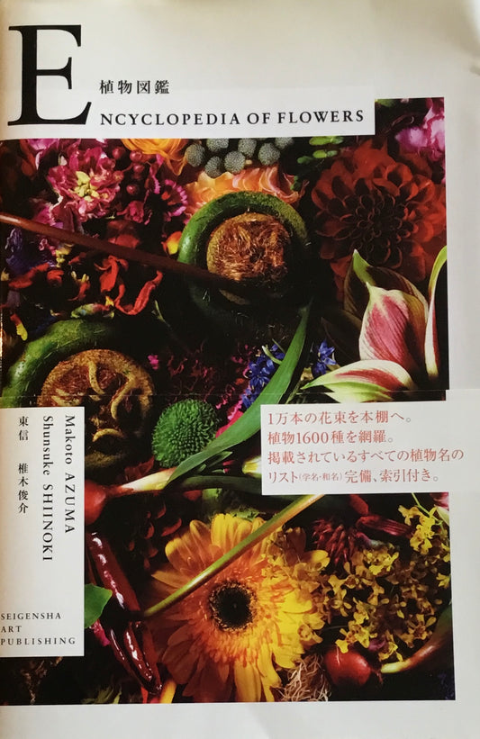 植物図鑑　Ecyclopedia of Flowers　東信　椎木俊介