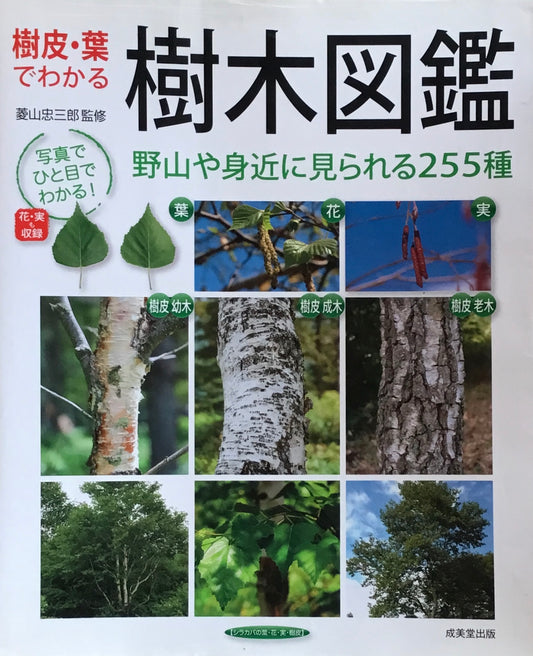 樹皮・葉でわかる　樹木図鑑　菱山忠三郎監修