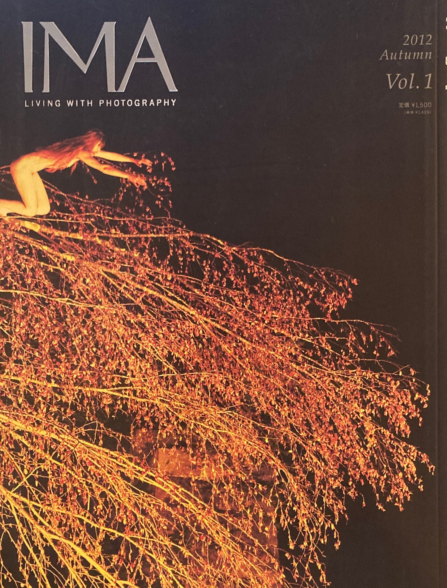 IMA　2012 Autumn Vol.1　家族の肖像