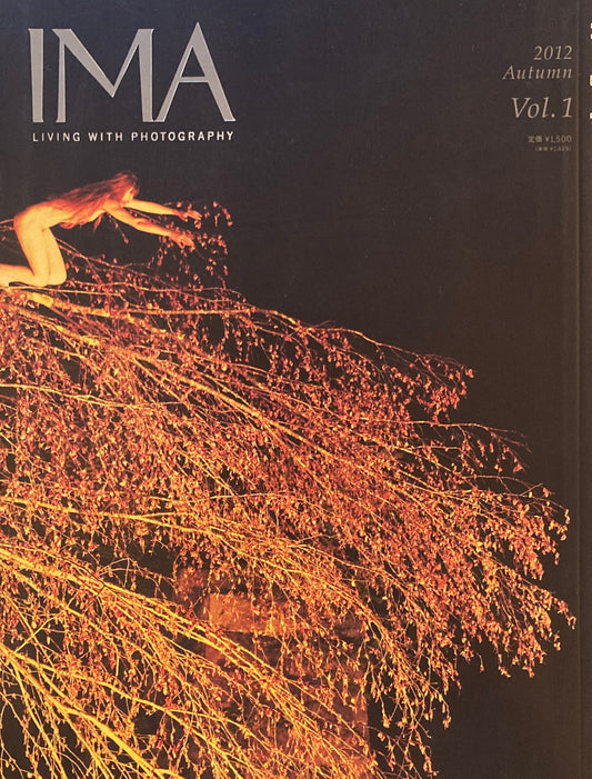 IMA　2012 Autumn Vol.1　家族の肖像