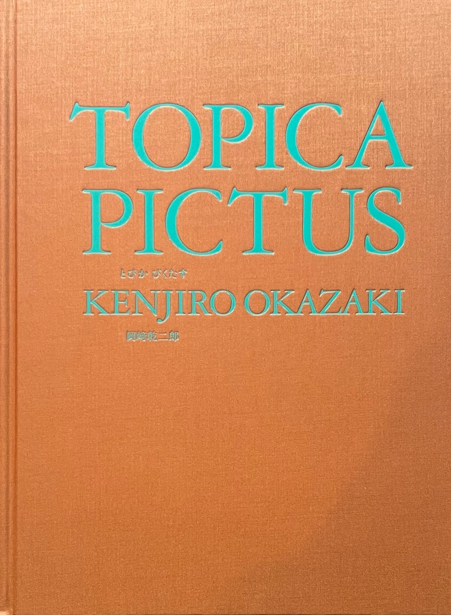 TOPICA PICTUS　とぴかぴくたす　岡崎乾二郎
