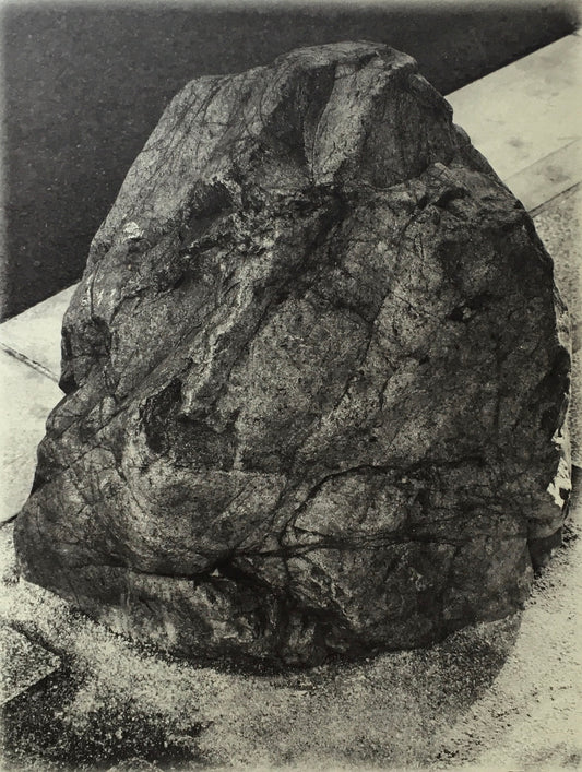 Petra Noordkamp　Better not Move