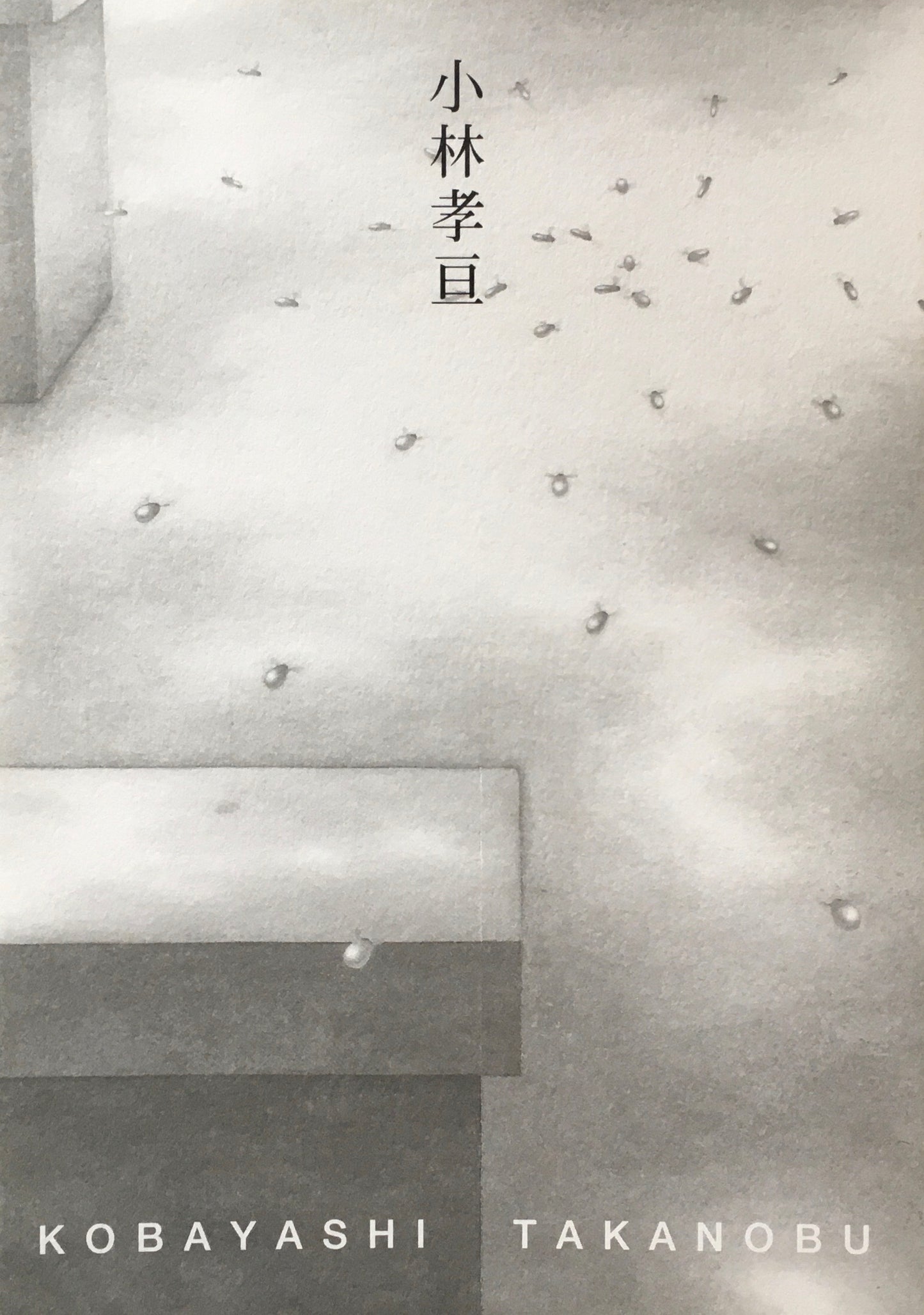 小林孝亘　1996　西村画廊